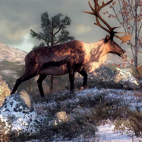 The Hunter 2016: Pathfinder Starter Pack Cd Key Steam Global